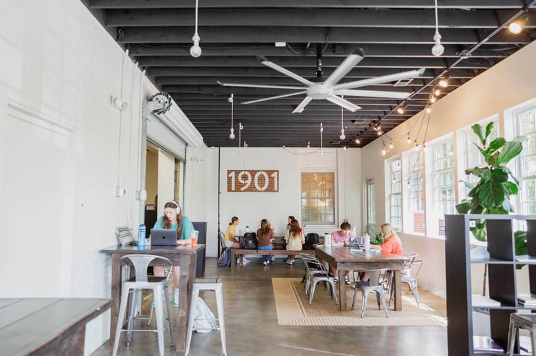 Groups of people working together on laptops in a cozy cafe